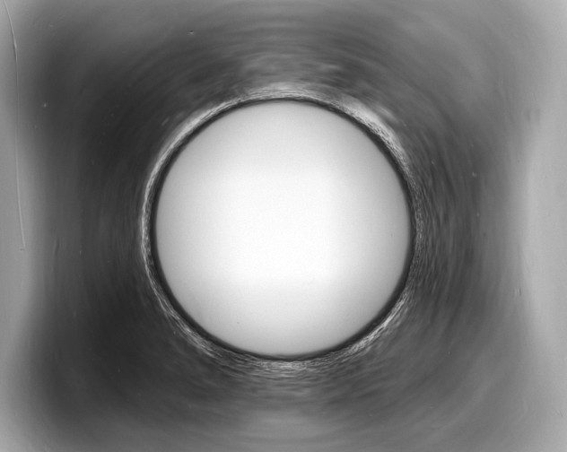 X0000098231278200804241154