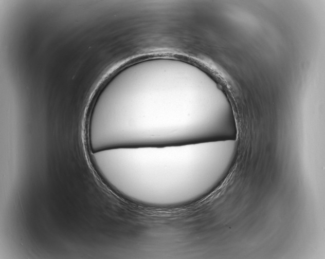 X0000098231279200804241154