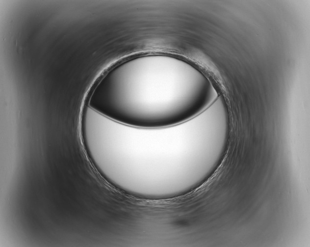 X0000098231280200804241154