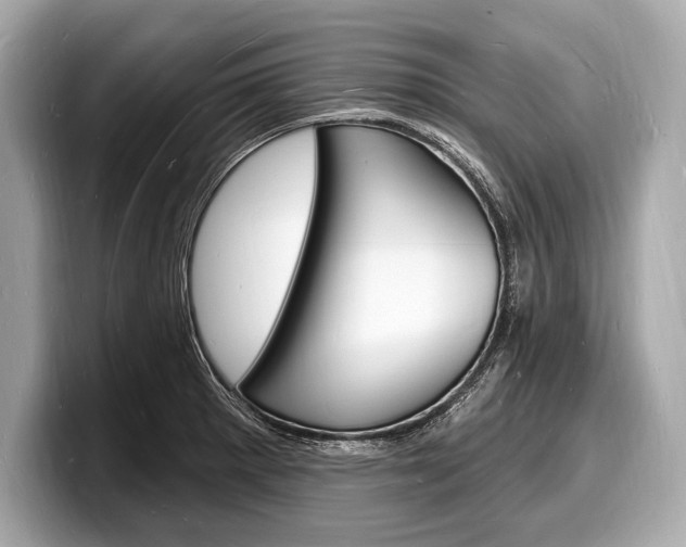 X0000098231281200804241154