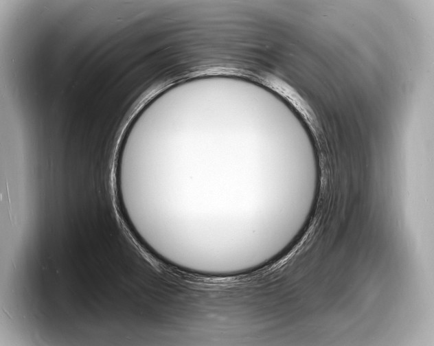 X0000098231282200804241154