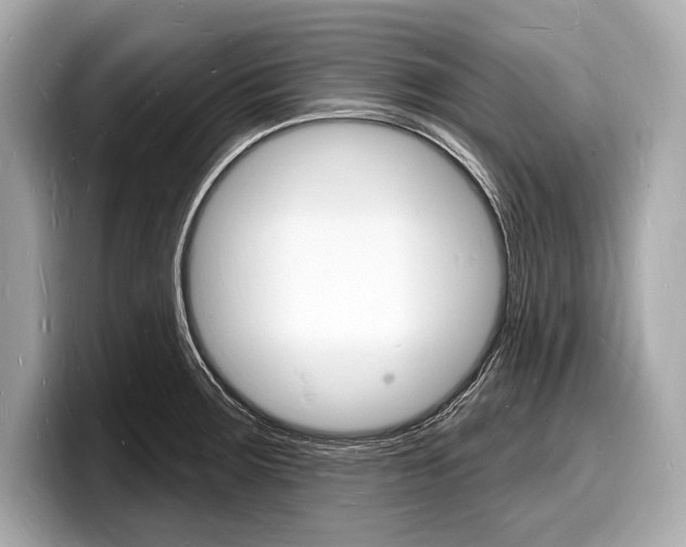 X0000098231283200804241154