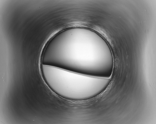 X0000098231285200804241154