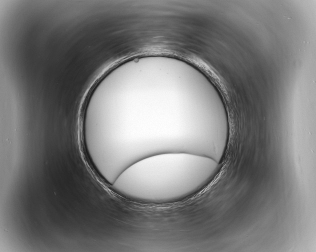 X0000098231286200804241154