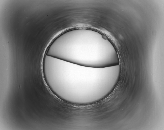 X0000098231287200804241154
