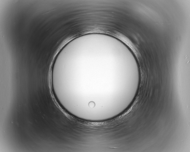 X0000098231290200804241153