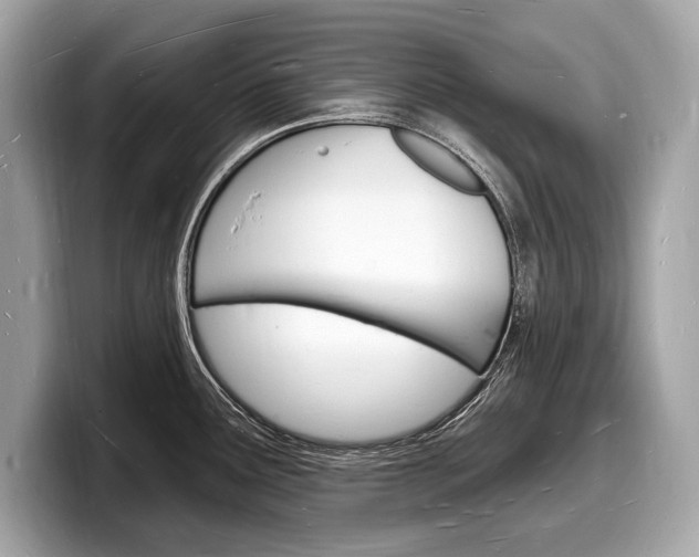 X0000098231291200804241153