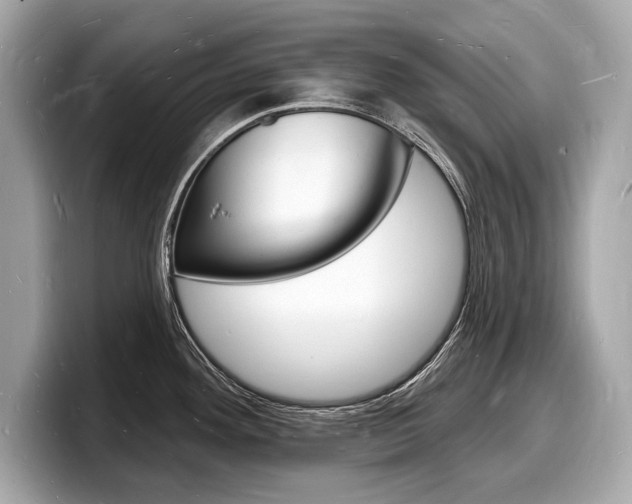 X0000098231292200804241153