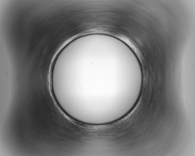 X0000098231294200804241153