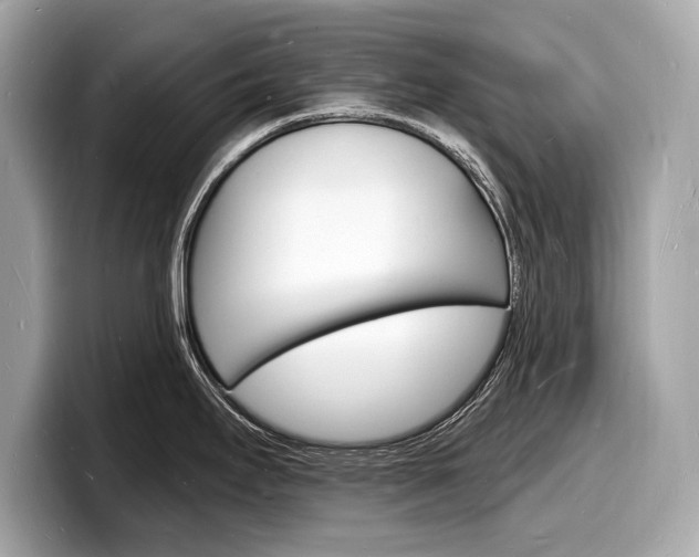 X0000098231295200804241153