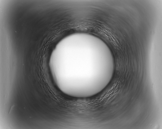 X0000098231297200804241153