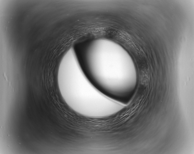 X0000098231298200804241153