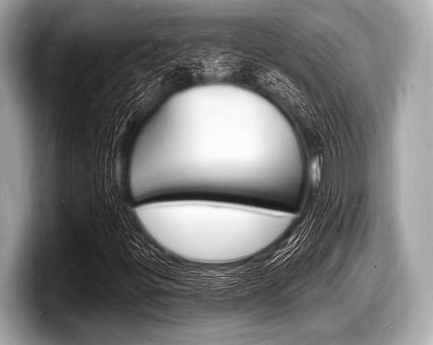 X0000098231299200804241153