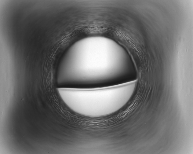 X0000098231300200804241153