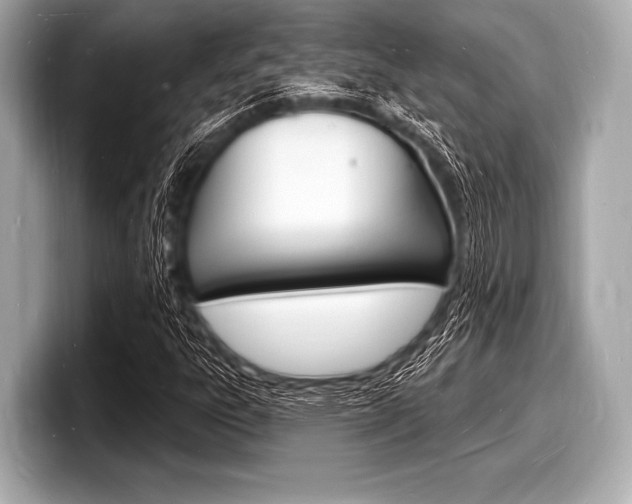 X0000098231303200804241153