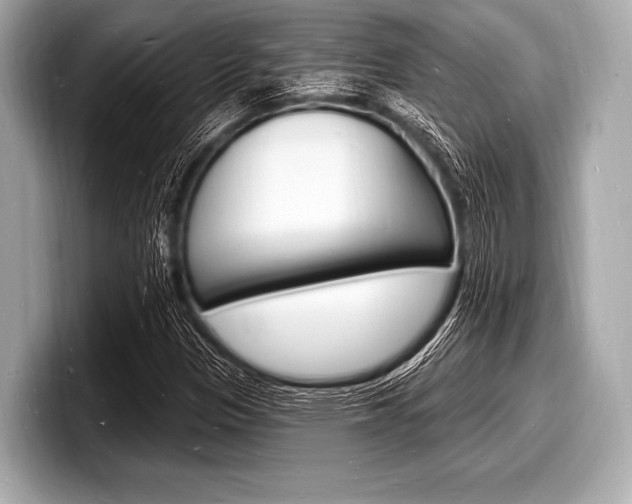 X0000098231305200804241153