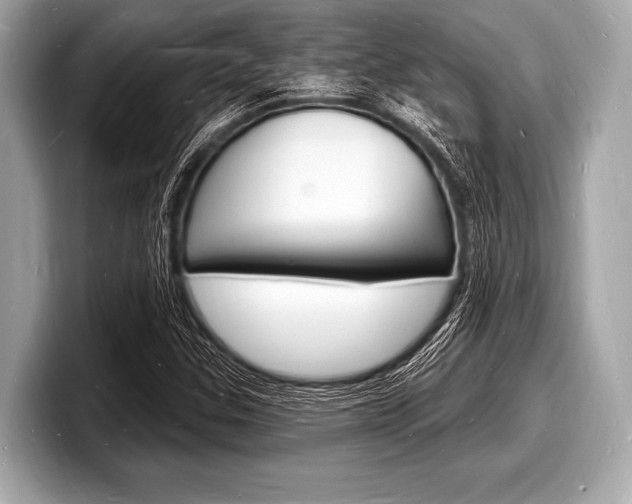 X0000098231307200804241153