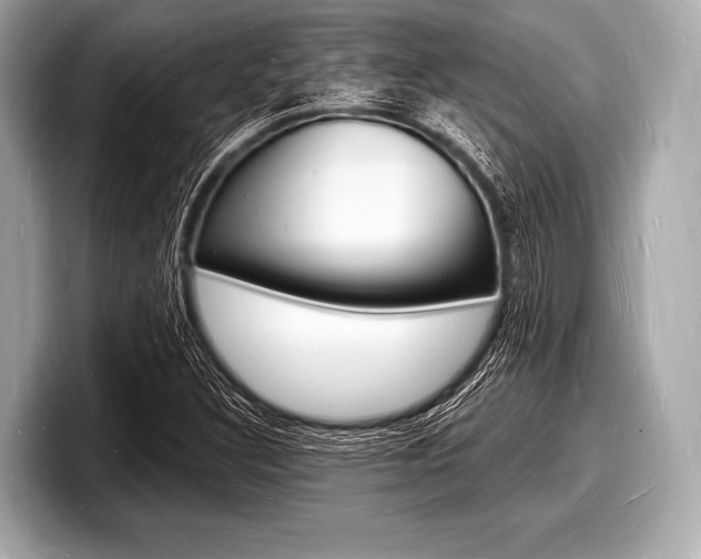 X0000098231308200804241153