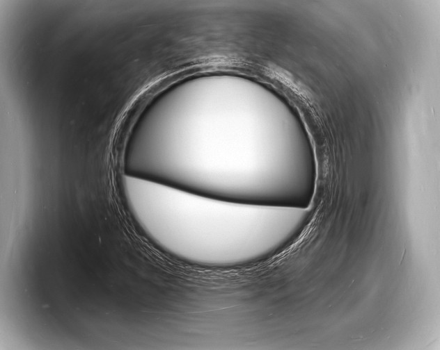 X0000098231310200804241153