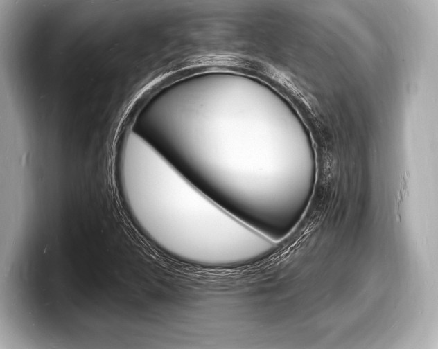 X0000098231312200804241153