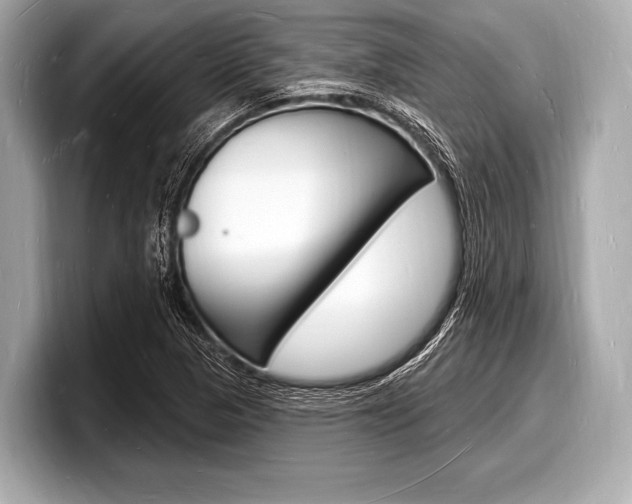 X0000098231313200804241153