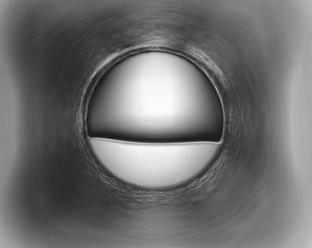X0000098231316200804241153