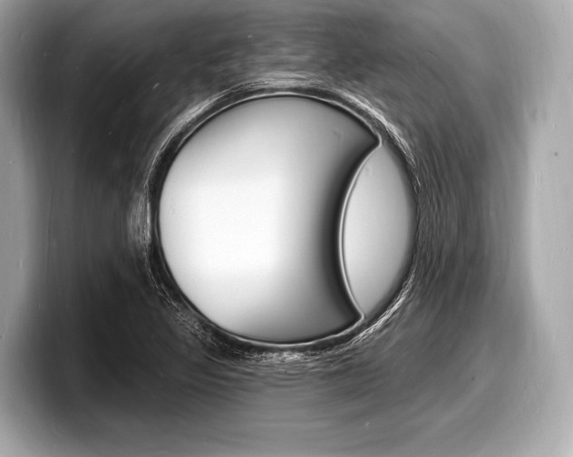 X0000098231317200804241153