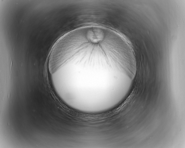 X0000098231318200804241153