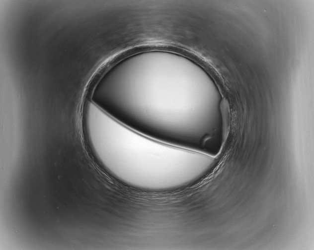 X0000098231319200804241153