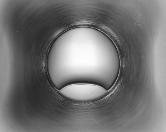 X0000098231321200804241153