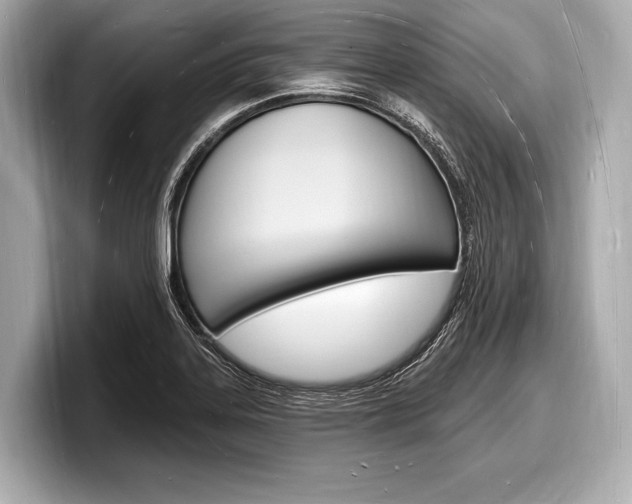 X0000098231323200804241153