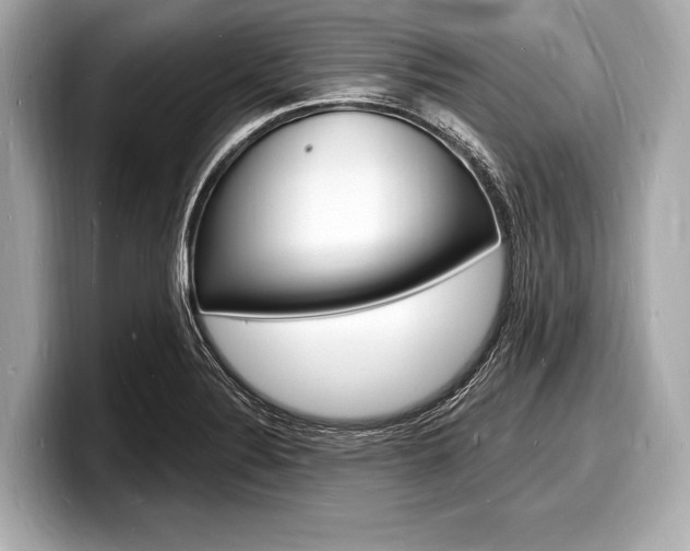 X0000098231324200804241153