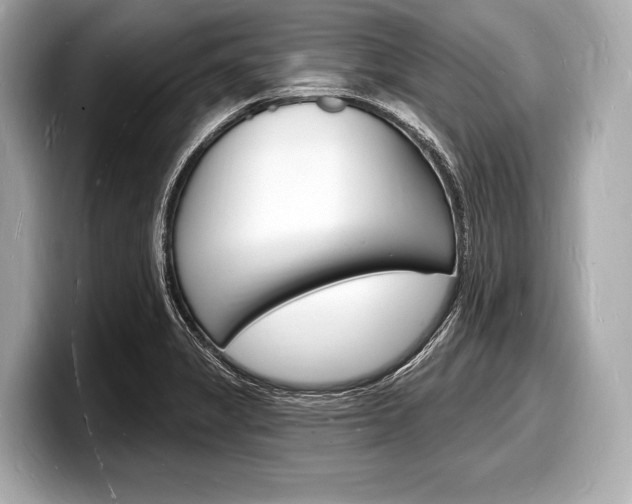 X0000098231325200804241153