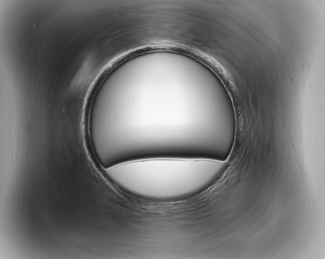 X0000098231327200804241153