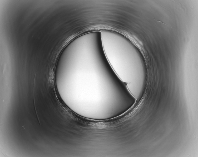 X0000098231329200804241153