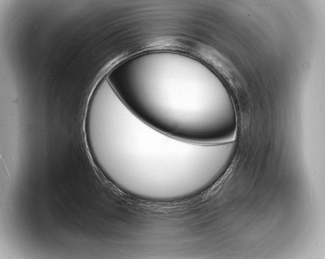 X0000098231330200804241153
