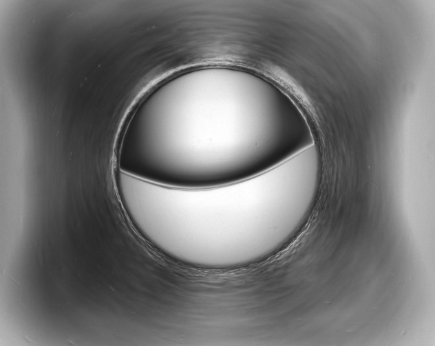 X0000098231332200804241153