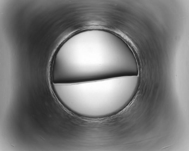X0000098231333200804241153