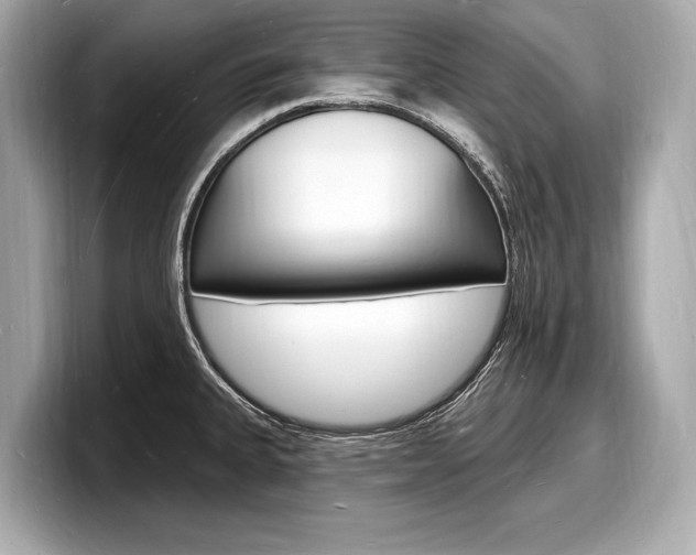 X0000098231335200804241153
