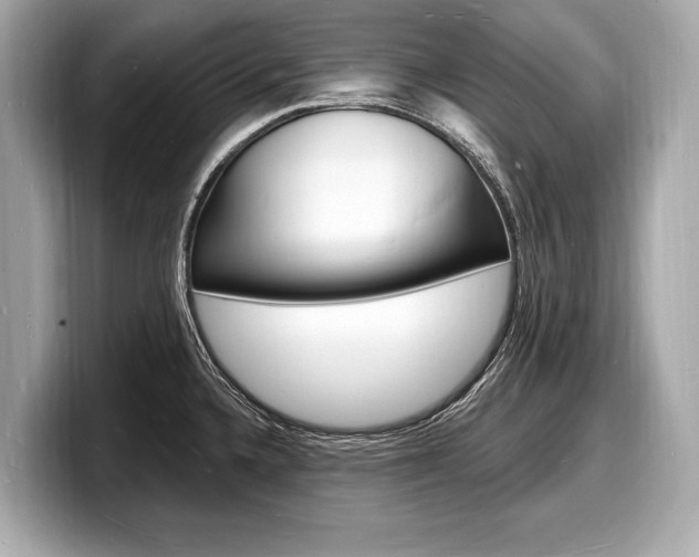 X0000098231336200804241153