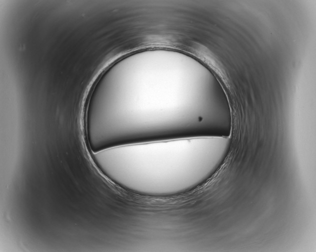X0000098231339200804241153