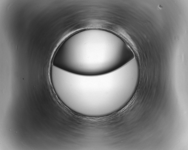X0000098231340200804241153