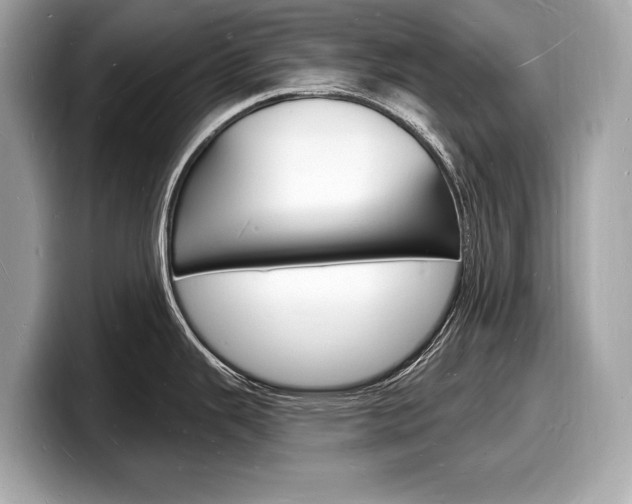 X0000098231343200804241153