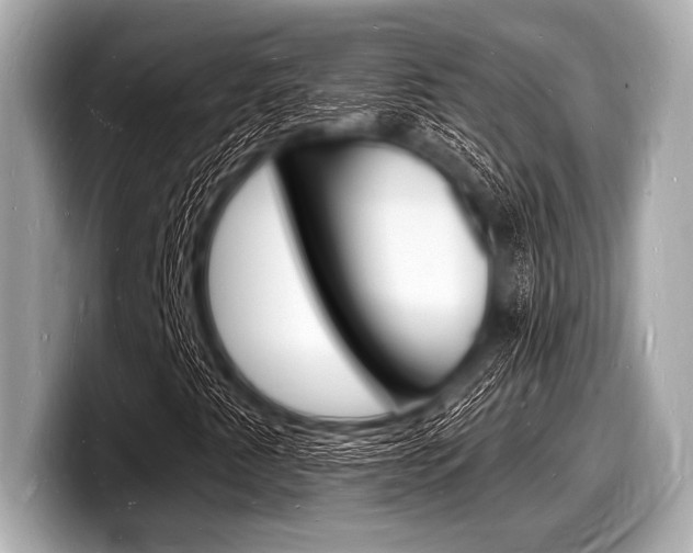 X0000098231345200804241153