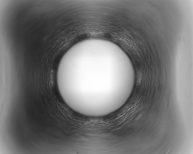 X0000098231346200804241153