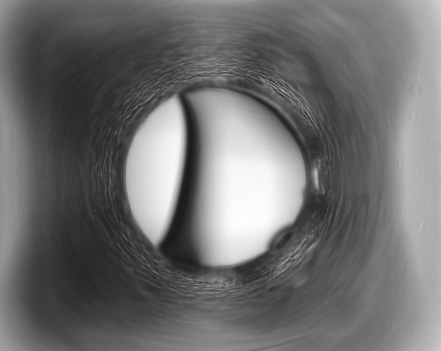X0000098231347200804241153