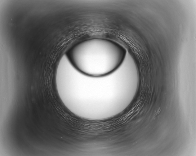 X0000098231348200804241153