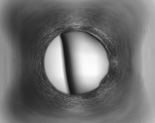 X0000098231349200804241153
