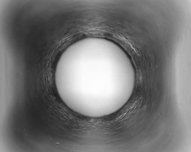 X0000098231350200804241153