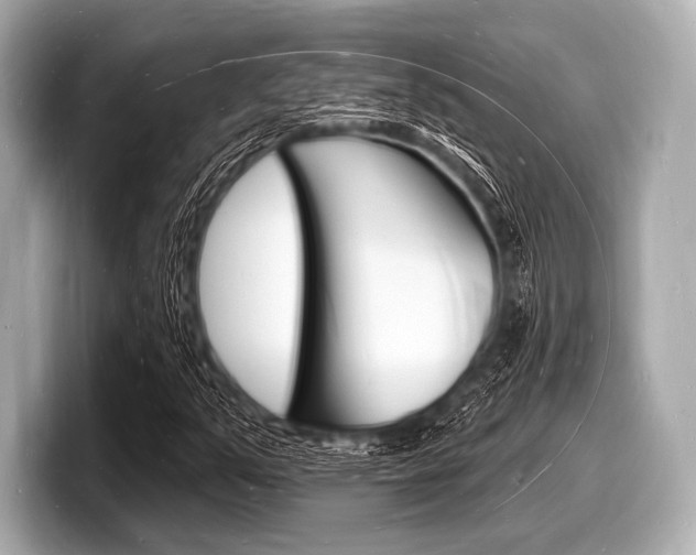 X0000098231351200804241153